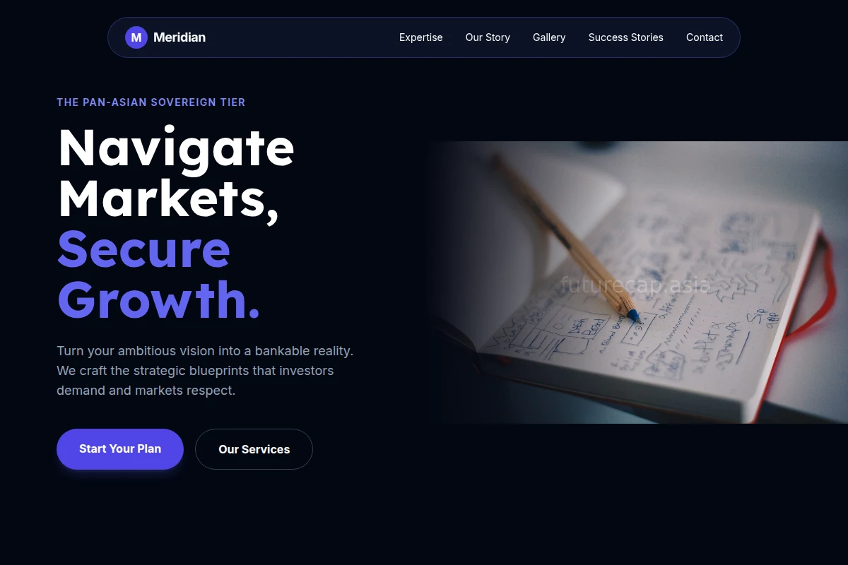 Meridian Business Plan