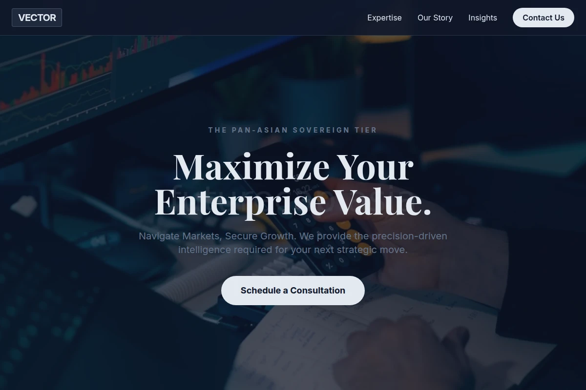 Vector Business Valuation